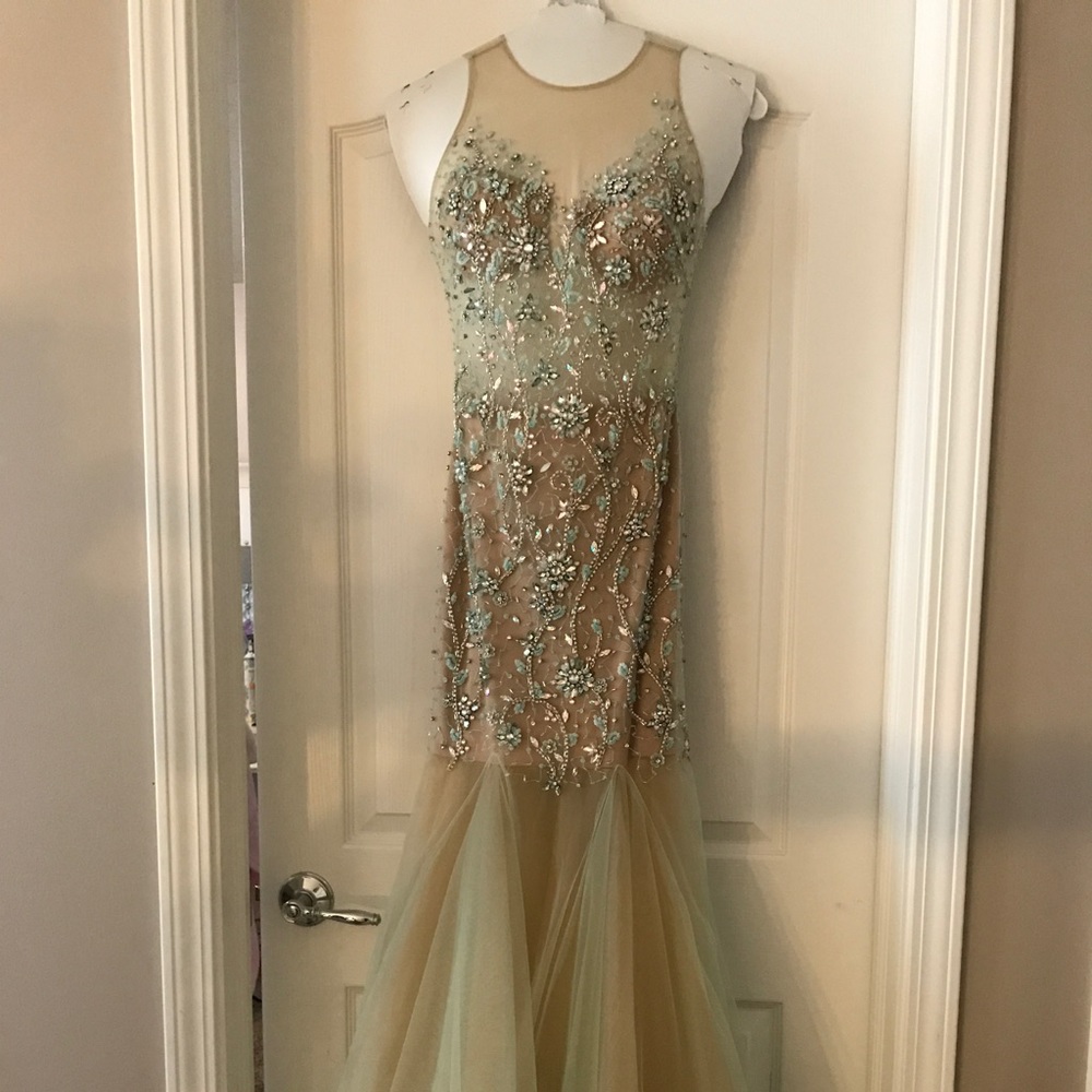 A gorgeous prom dress-- perfect condition!